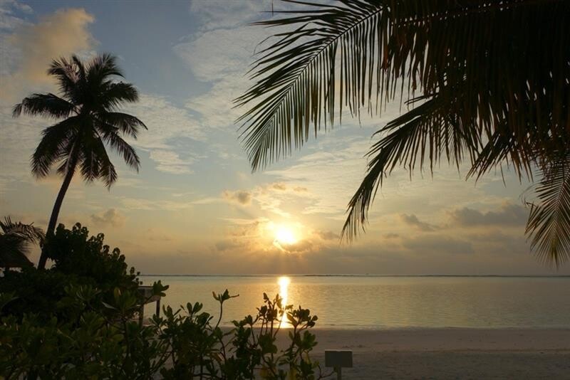 2f4d112e-ce56-44cf-954e-d9864cc6ea23