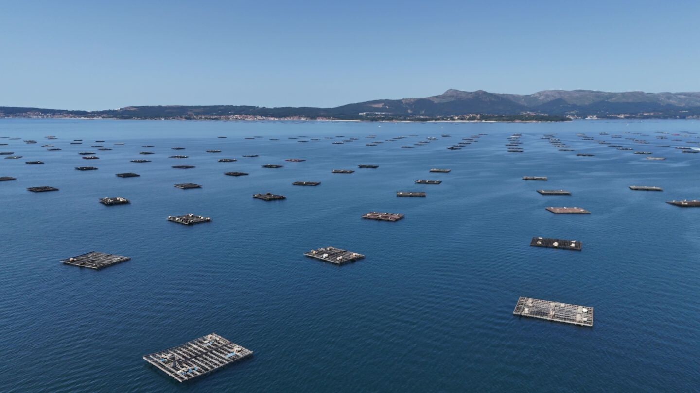 SP_Muschelplattformen_Bateas_Ría_de_Arousa_Galicien_shutterstock_2521809003.jpg