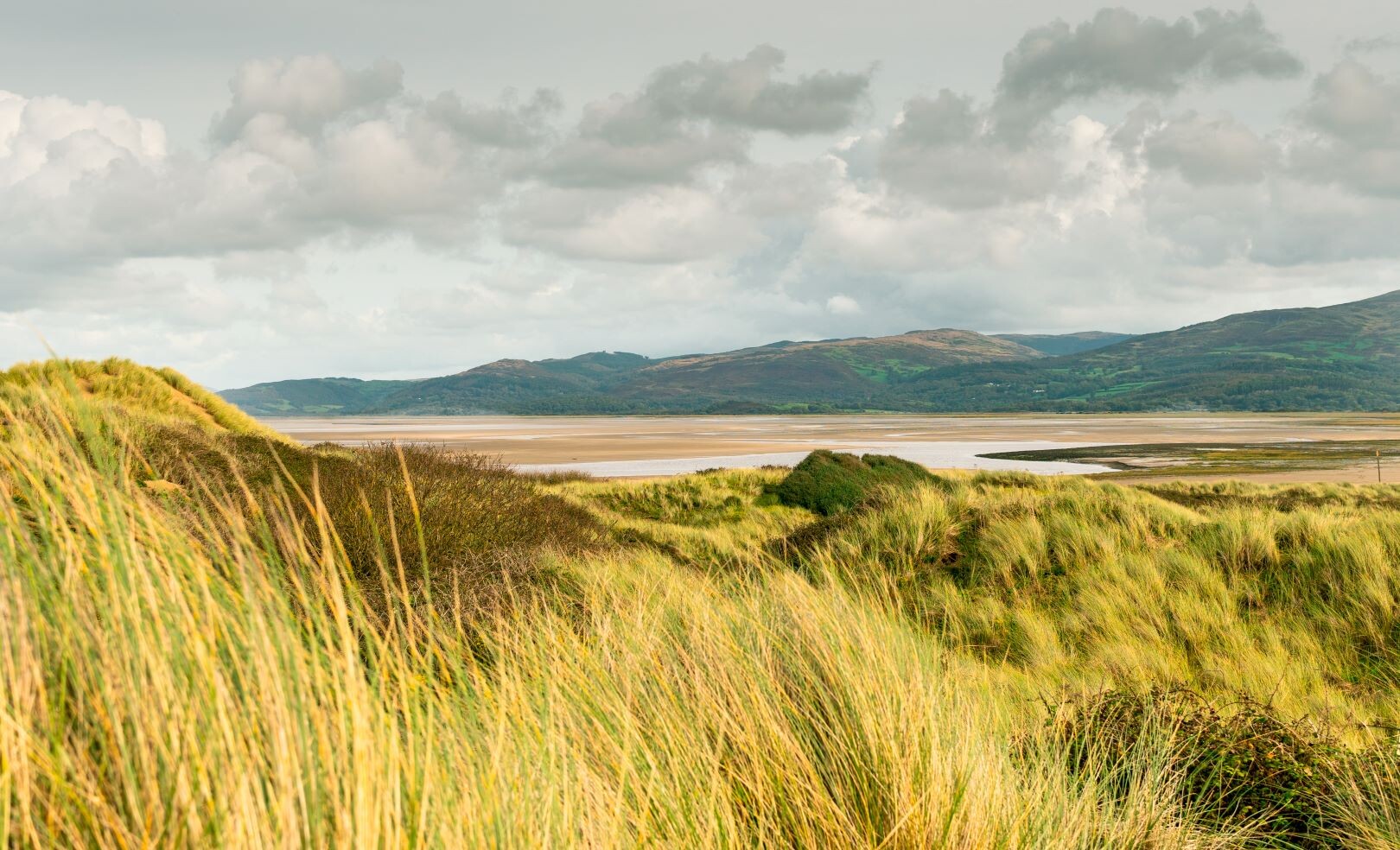 Wales_Ynyslas.jpg