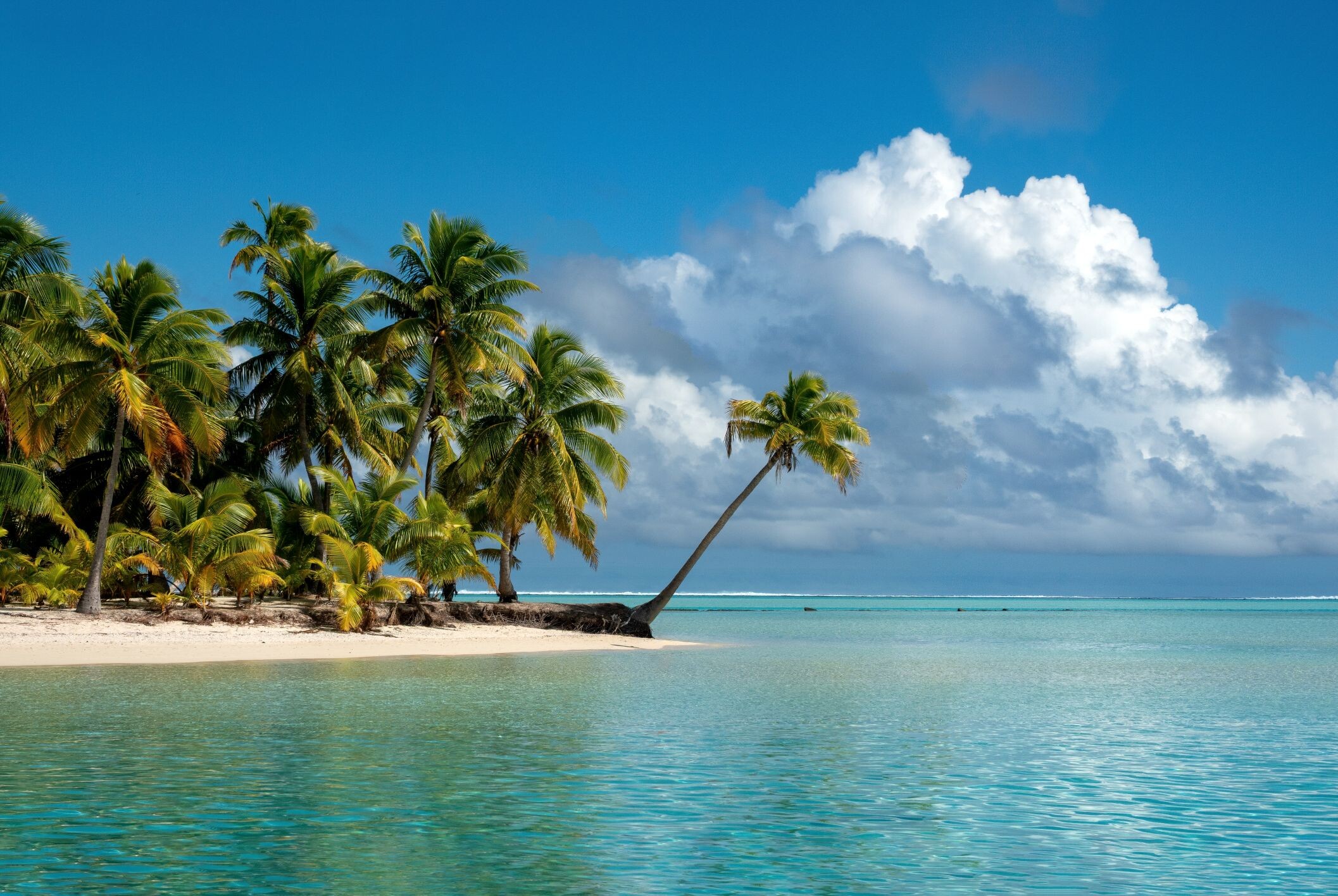 Weltreise - in 40 Tagen um die WELT - Weltreise