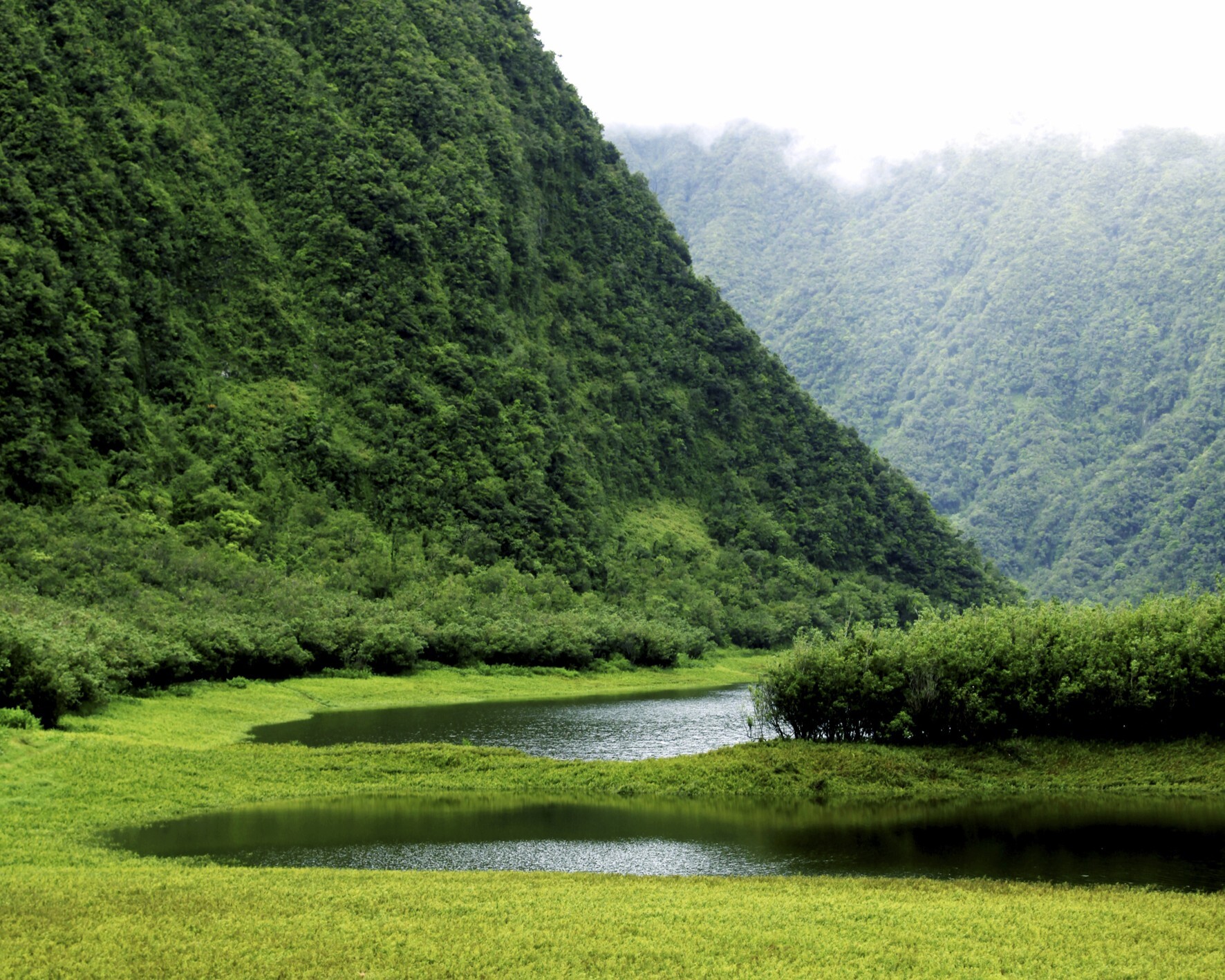 plaine_des_palmistes02_grand_etang_quer.jpg
