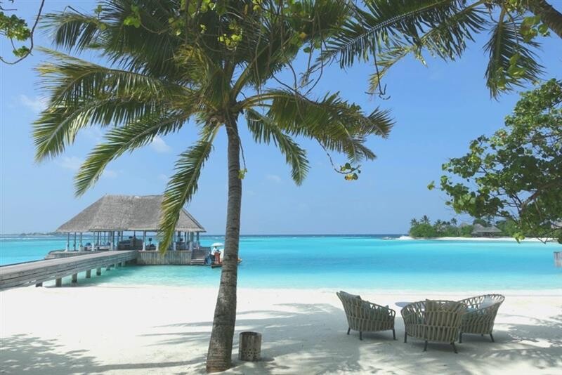 8c65dde6-967f-4329-ba9d-20d926cfac95 8c65dde6-967f-4329-ba9d-20d926cfac95