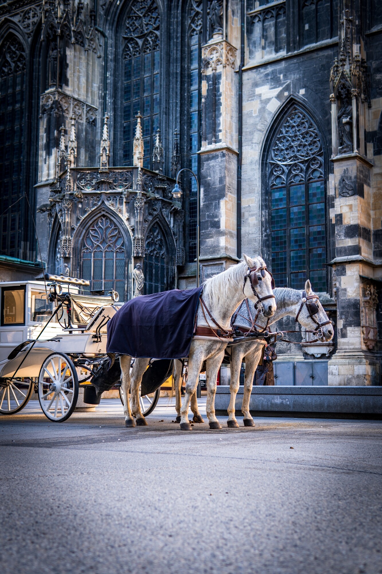 shutterstock_1892987830