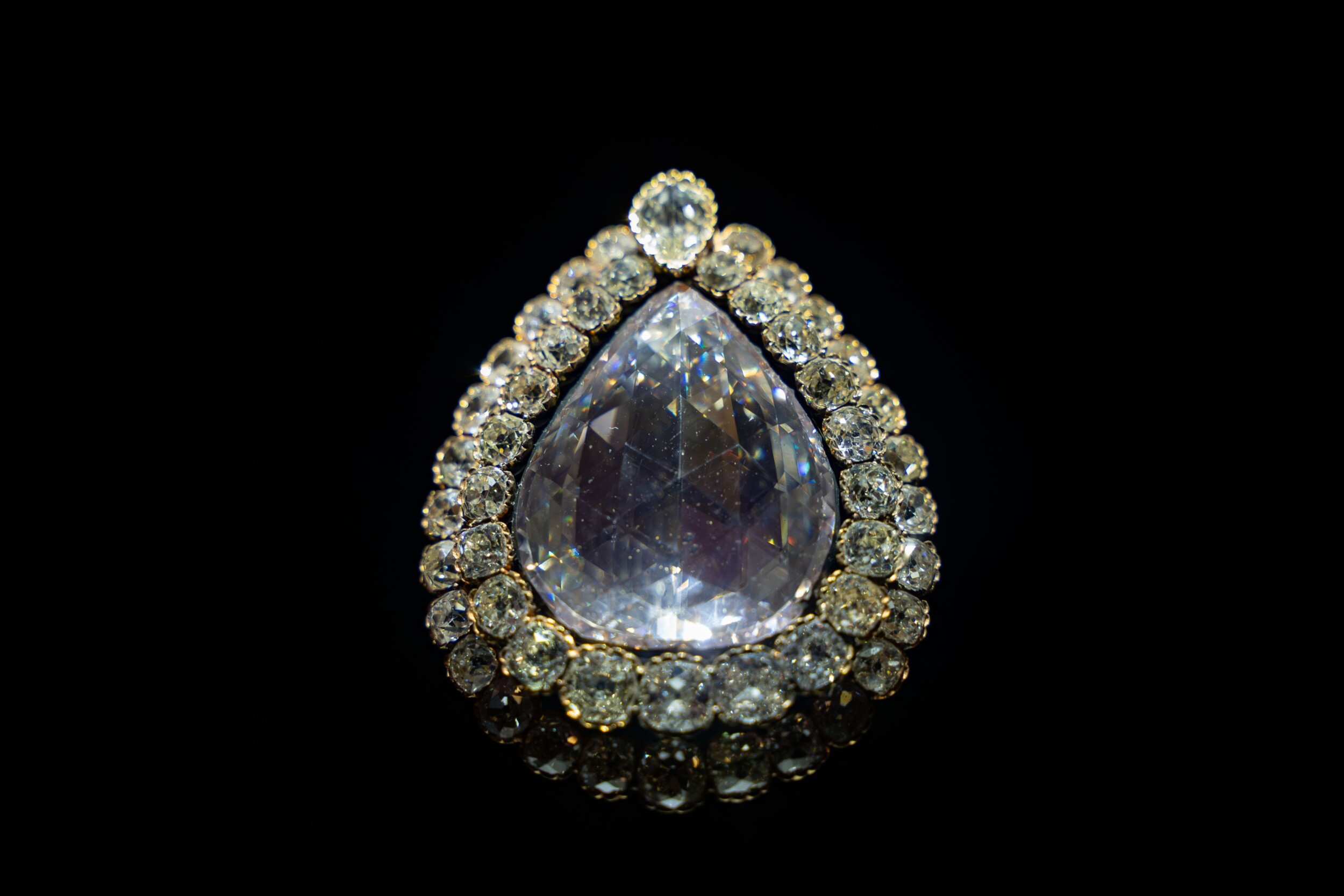 shutterstock_2406041073