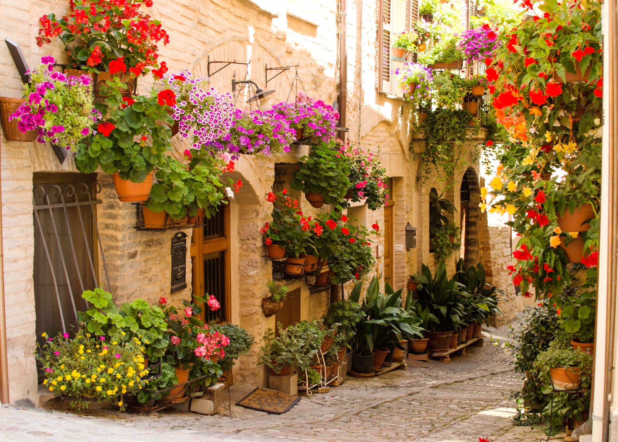 Spello©shutterstock.jpg