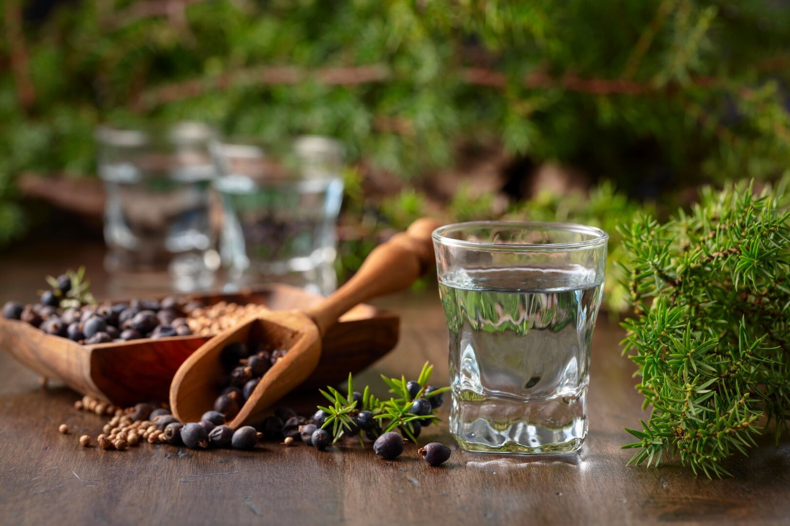 Gin_und_Wacholder_2373674811.jpg