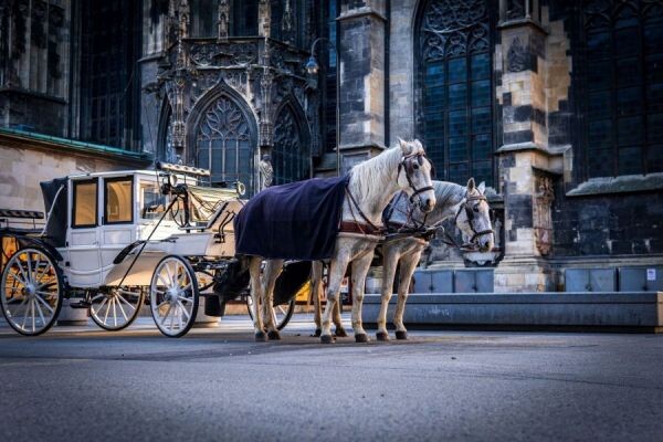 shutterstock_1893003616_(2)