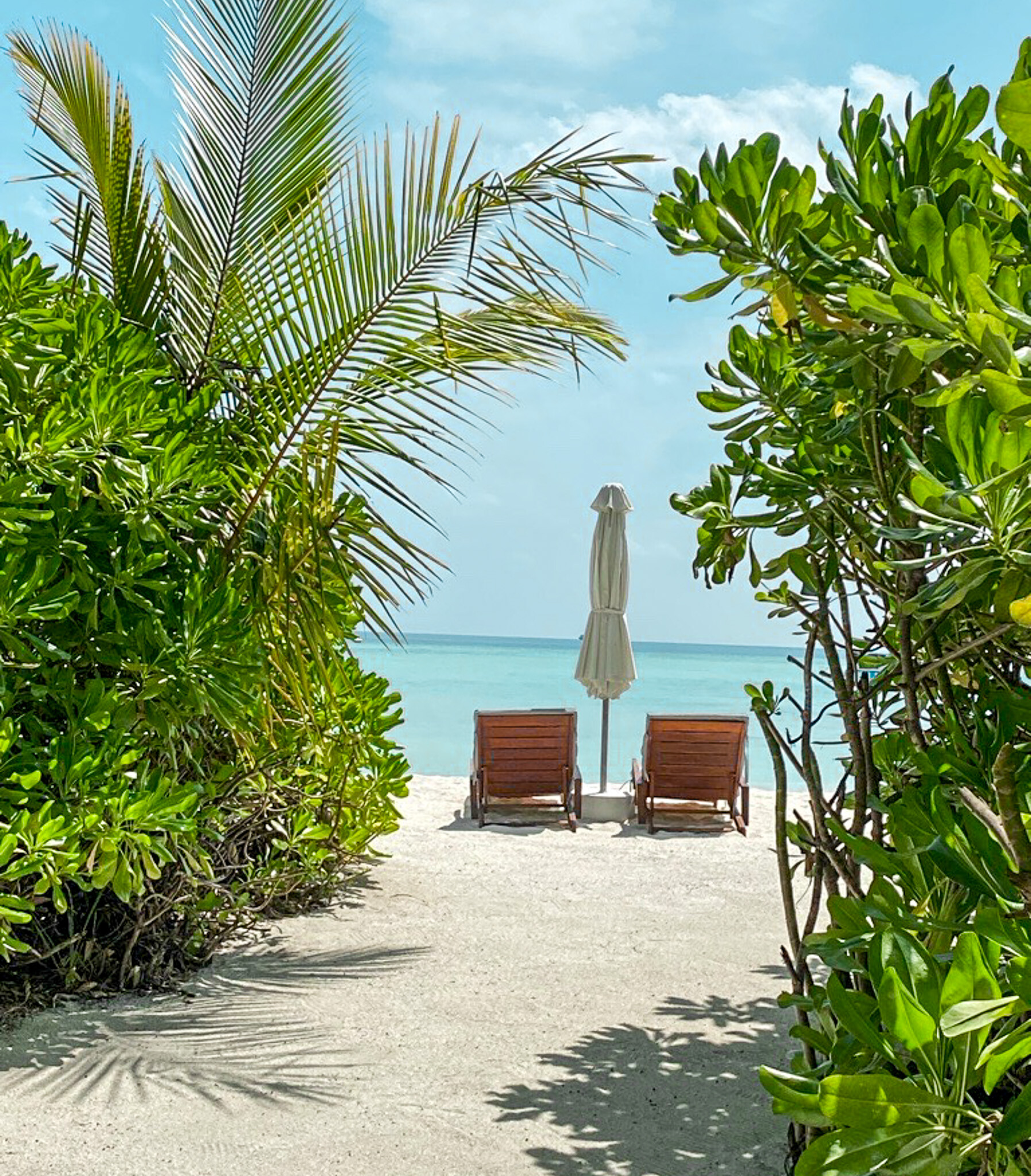 Image (11) Image (11)