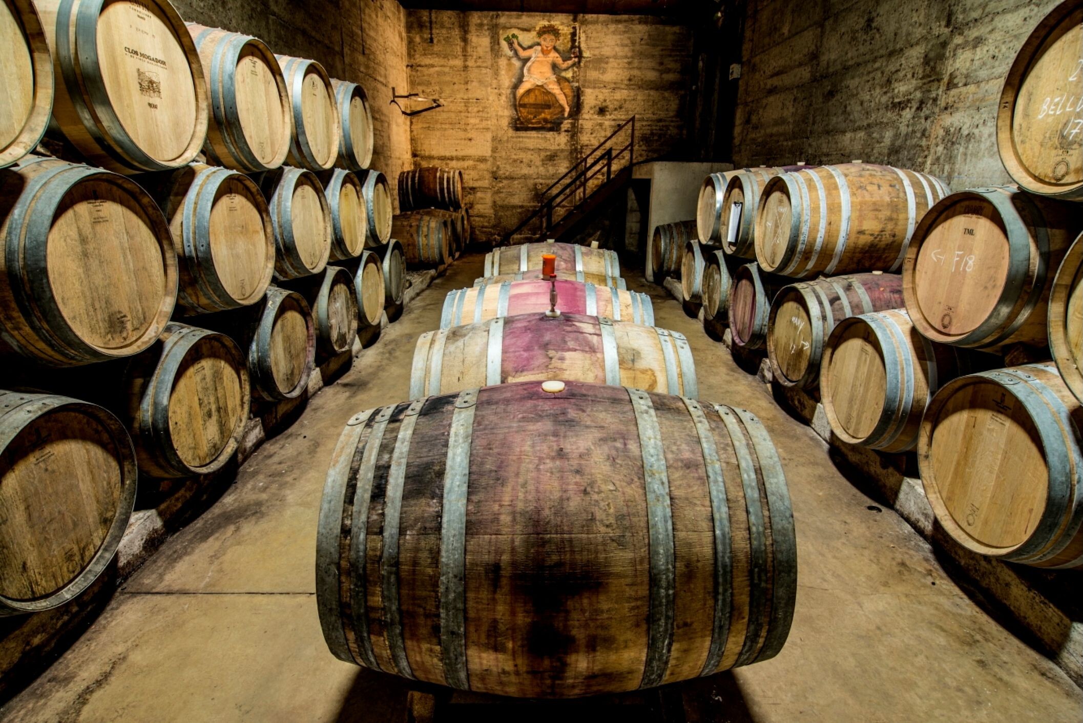 Priorat_©Weingut_Clos_Mogador.jpg