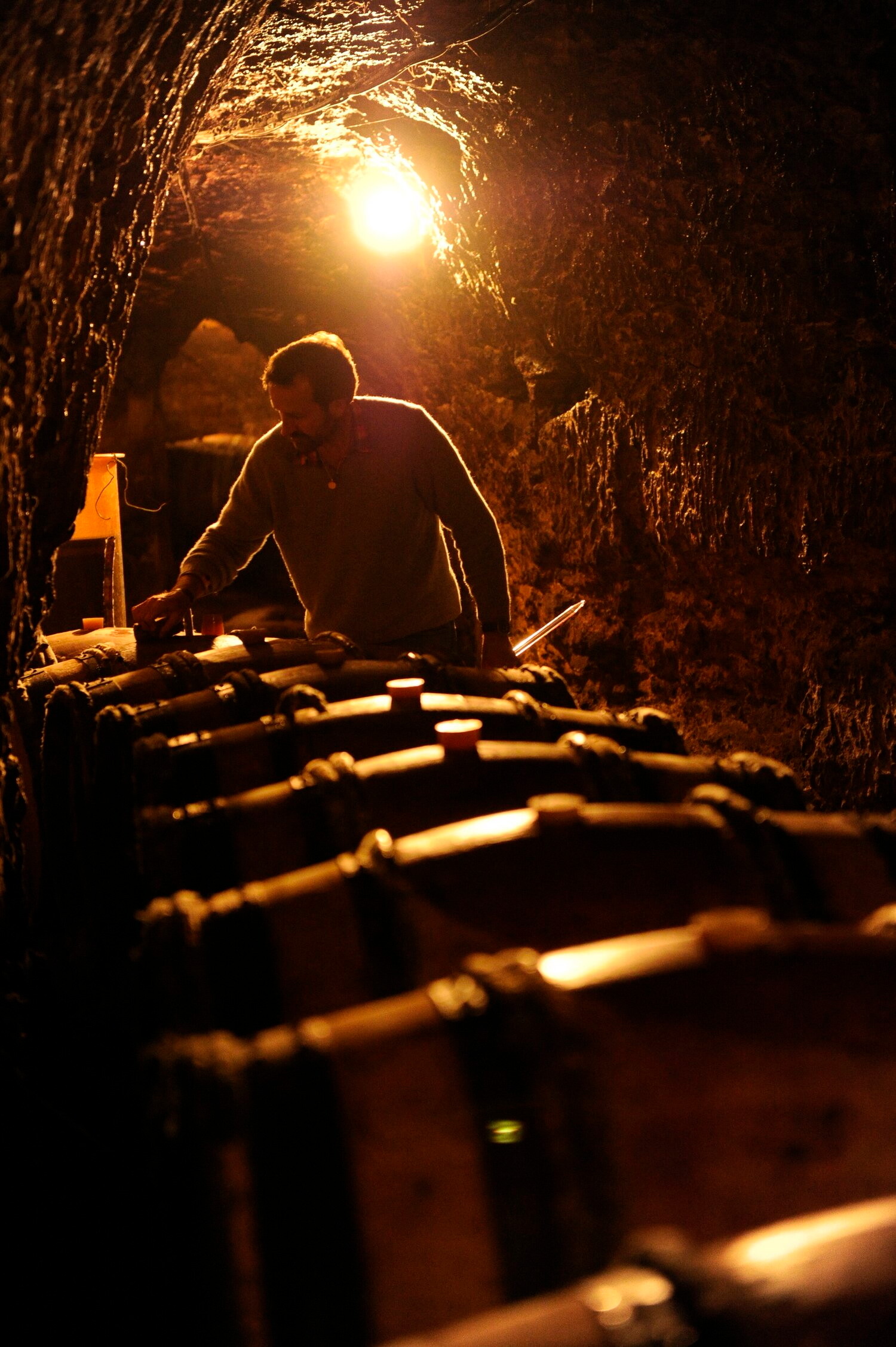 Thierry_Germains,_Domaine_des_Roches_Neuves_-_Keller_2.jpeg