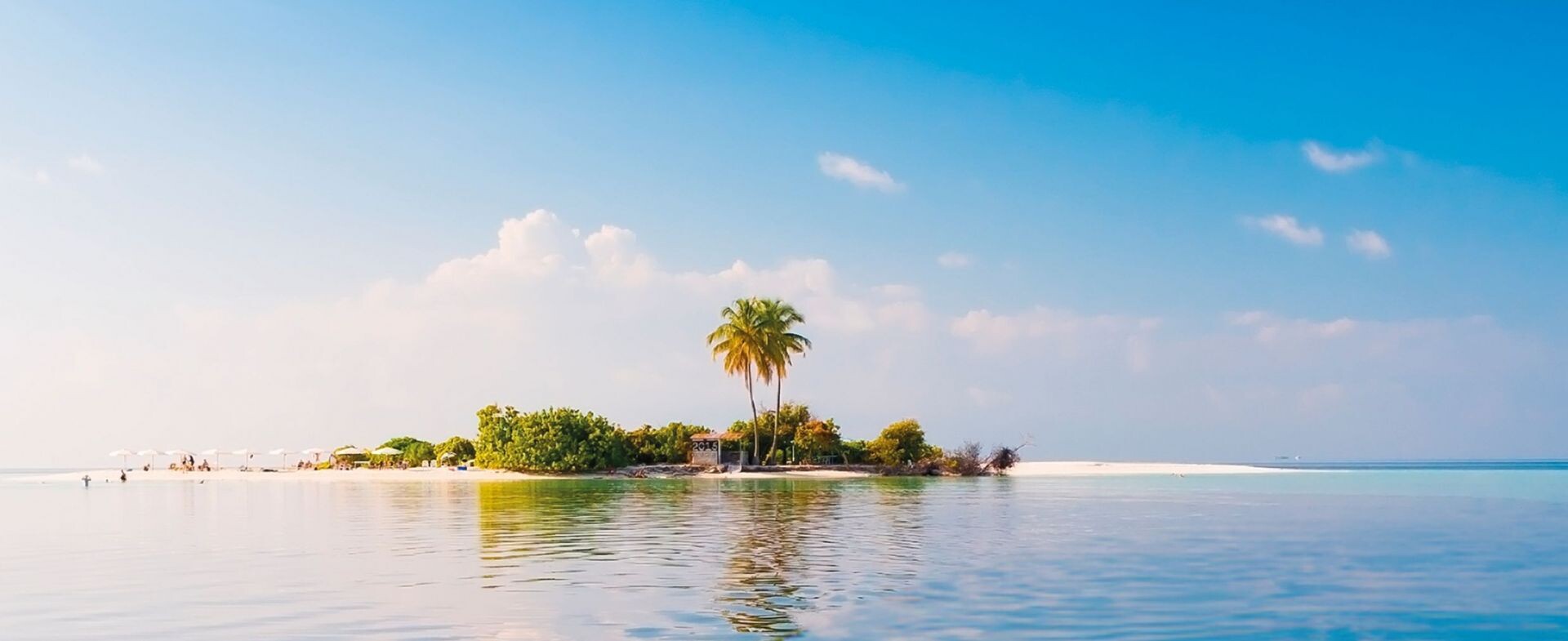 CM06_01_Cover-Final2_1