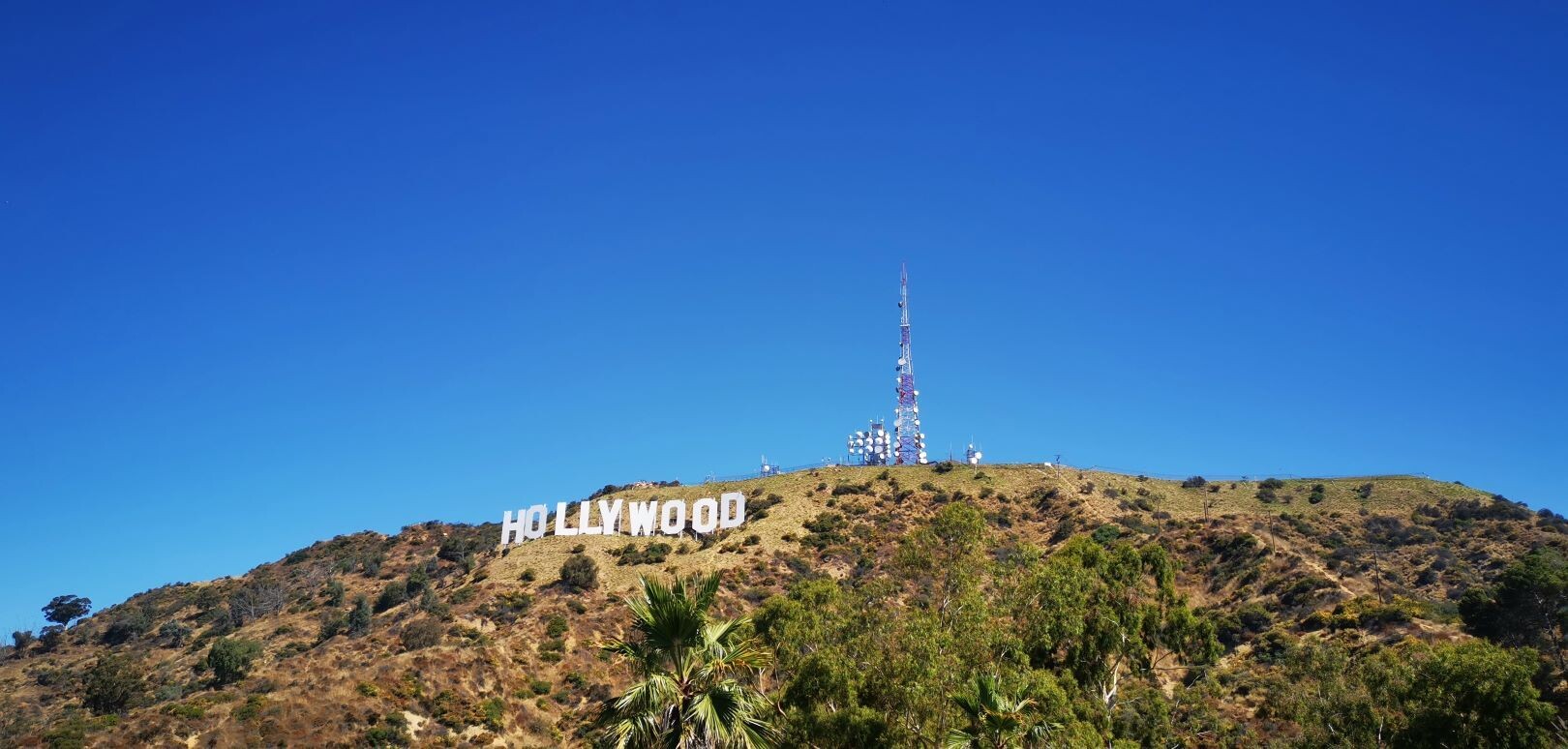 Hollywood