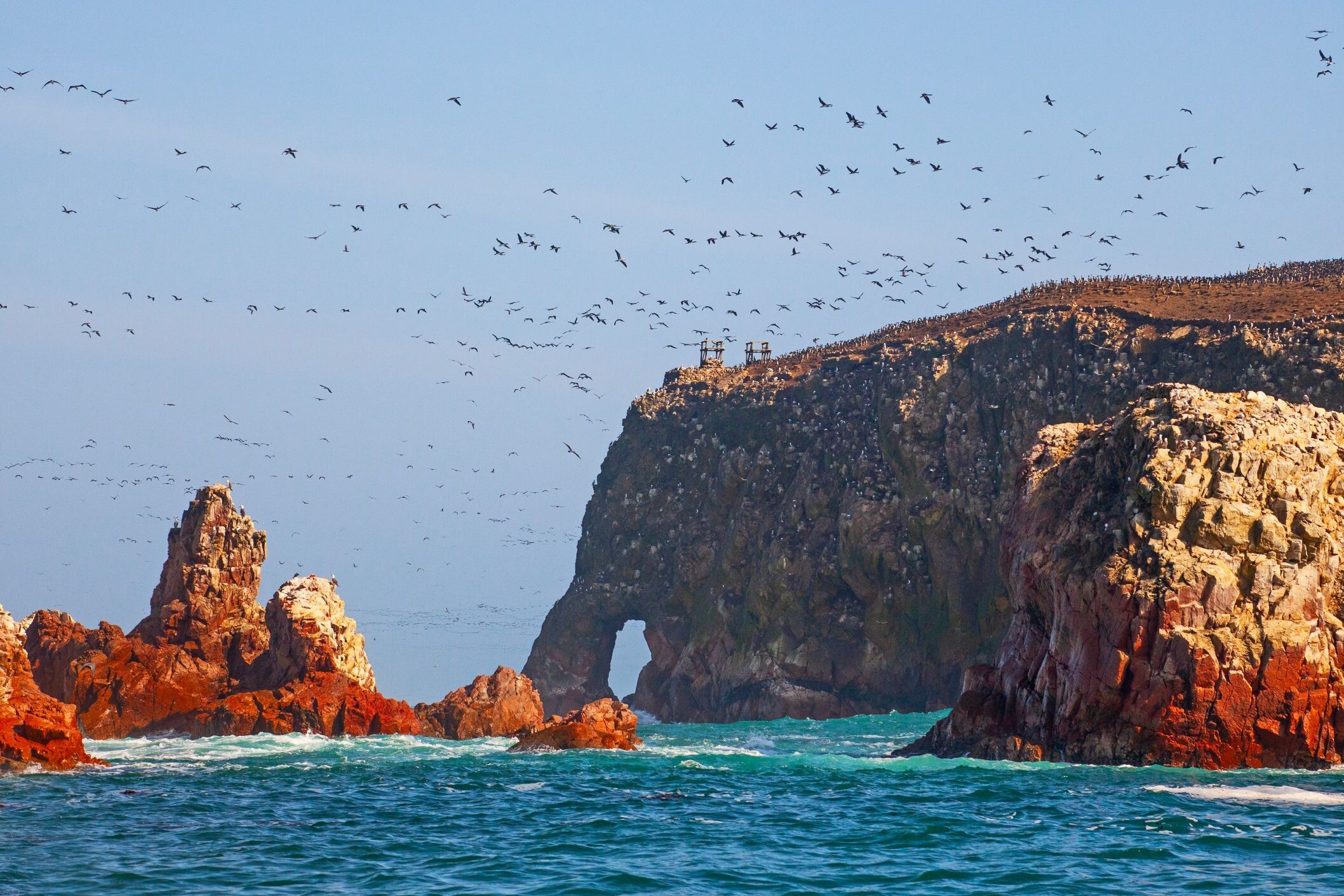 Peru_Ballestas_Inseln-shutterstock.jpg