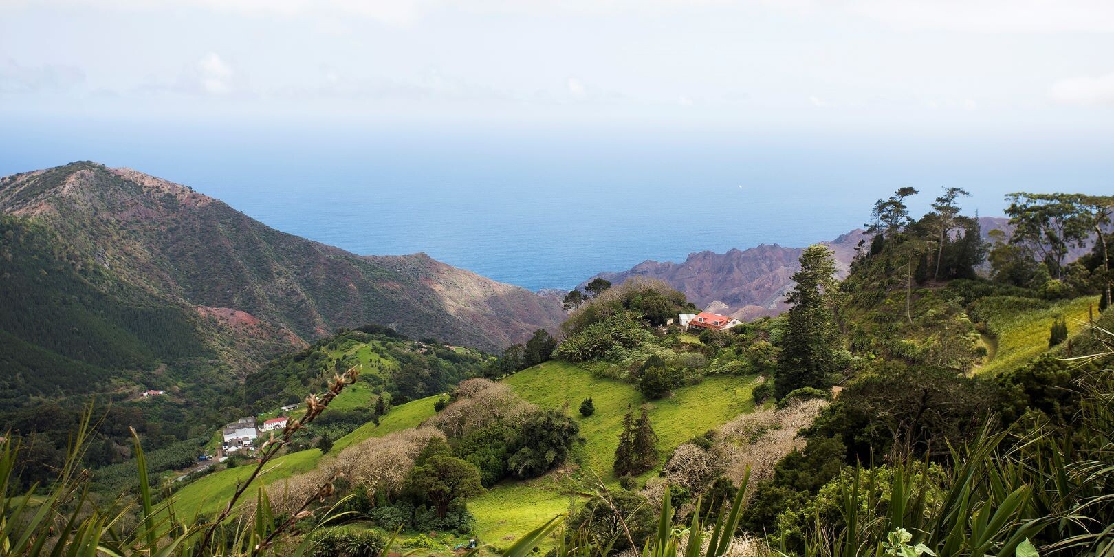 St_Helena__Landschaft