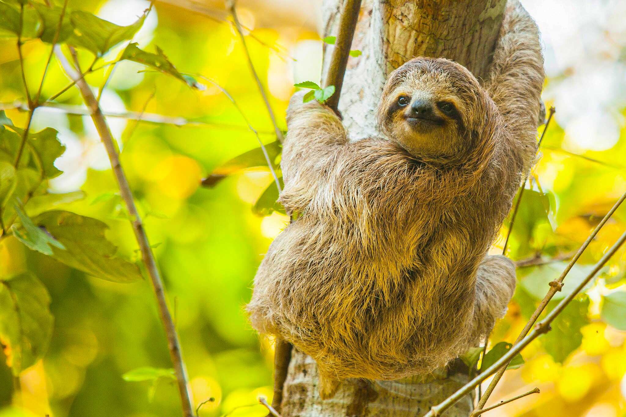 Familienreise Costa Rica - Von K&uuml;ste zu K&uuml;ste - Costa Rica