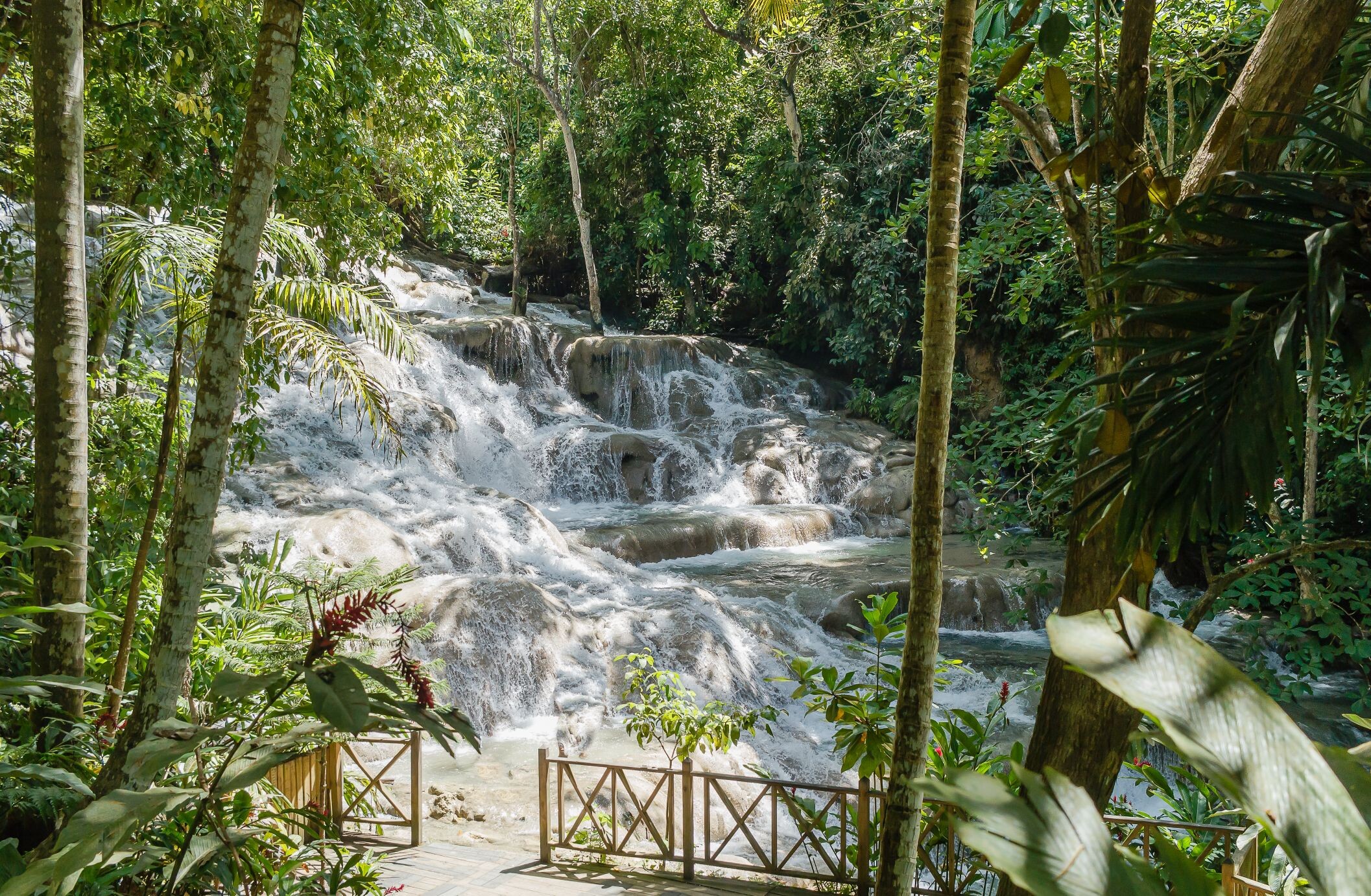 Dunns_river_falls.jpg