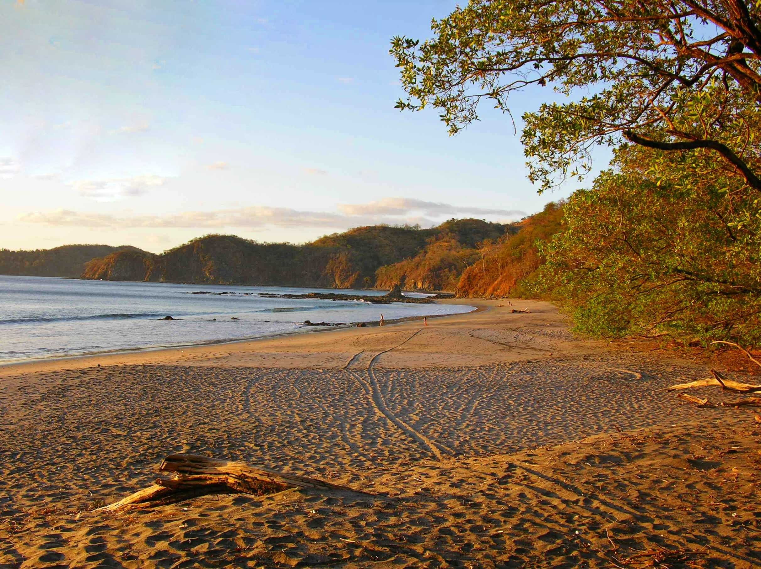 tamarindo_03_low.jpg
