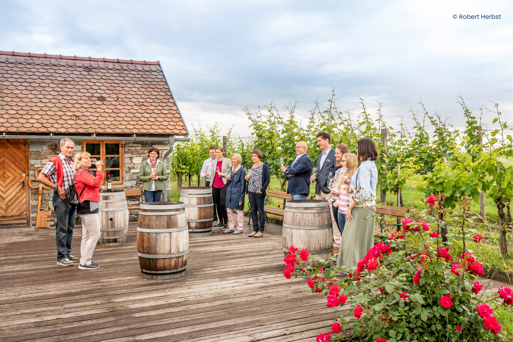 WinzerKrems_1_WeinGarten1_c_RobertHerbst.png