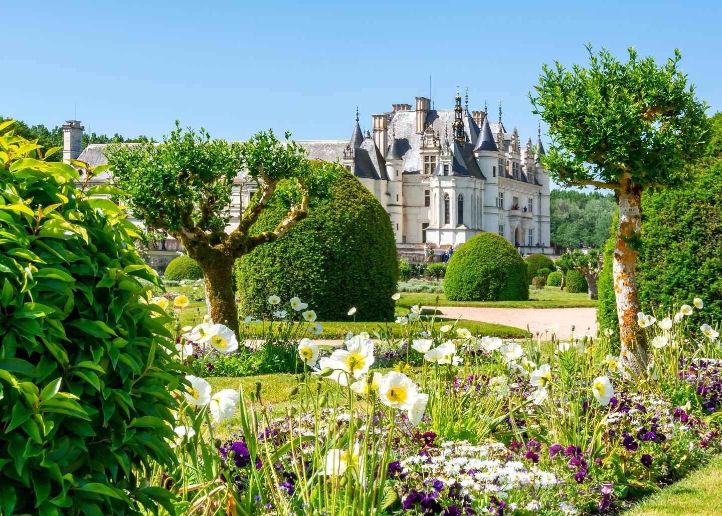 Château_Chenonceau_©shutterstock.jpg