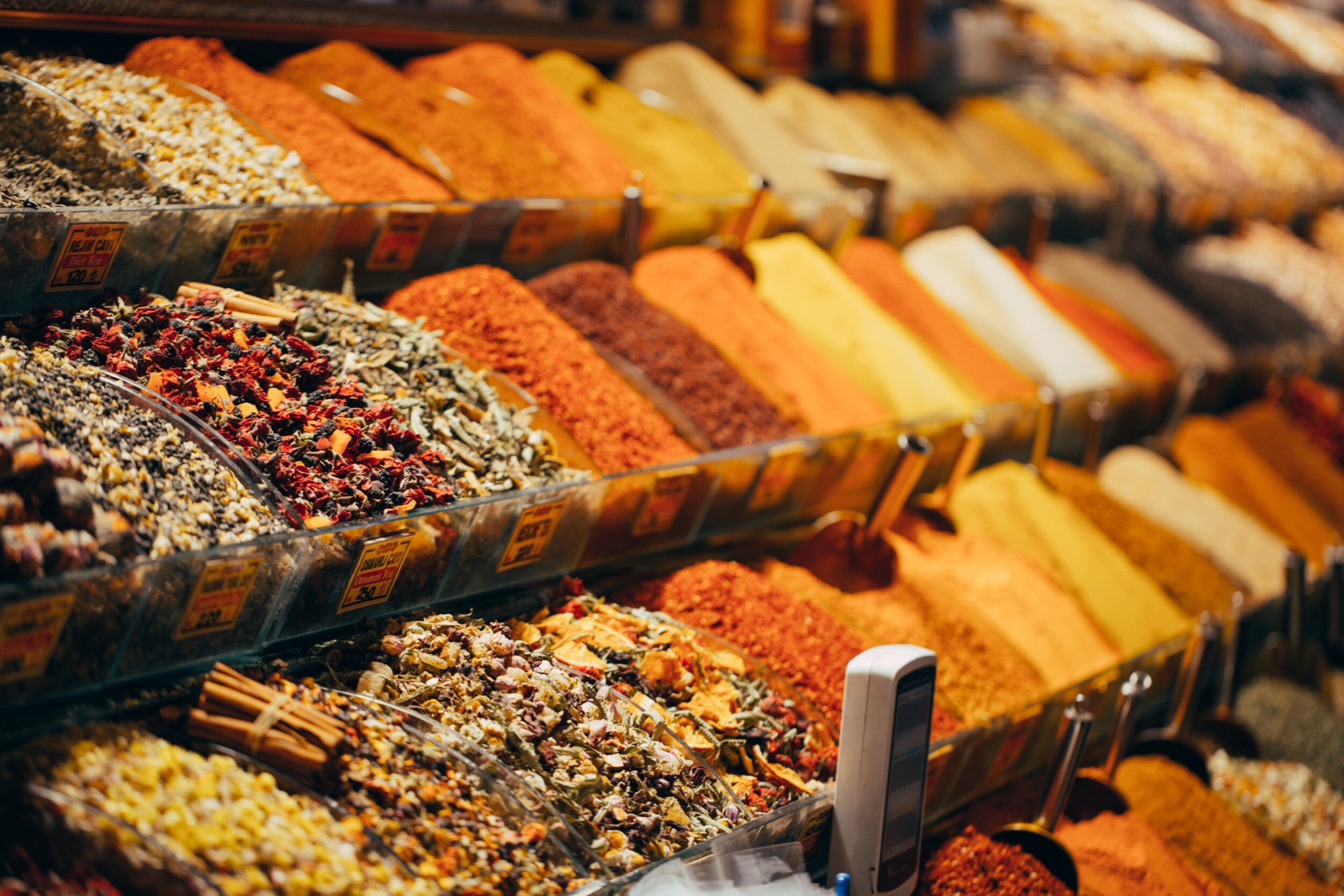 shutterstock_1448817251