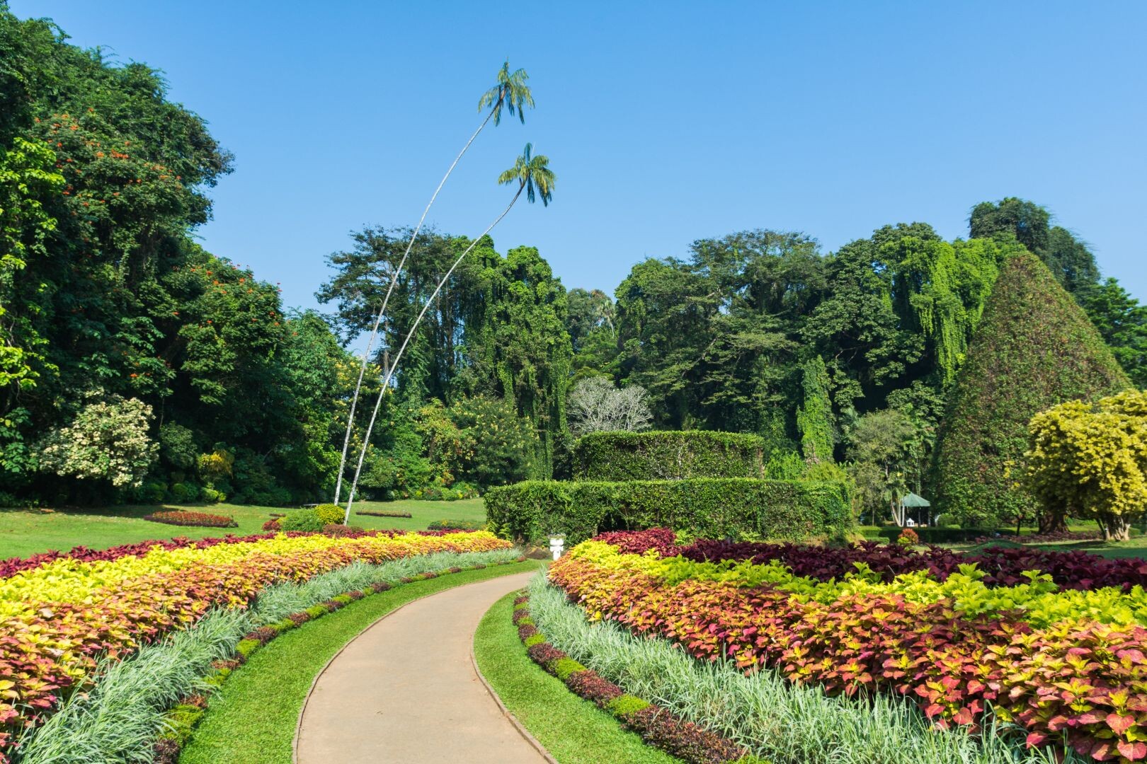 Sri_Lanka_Royal_Botanical_Garden_shutterstock_584014693.jpg