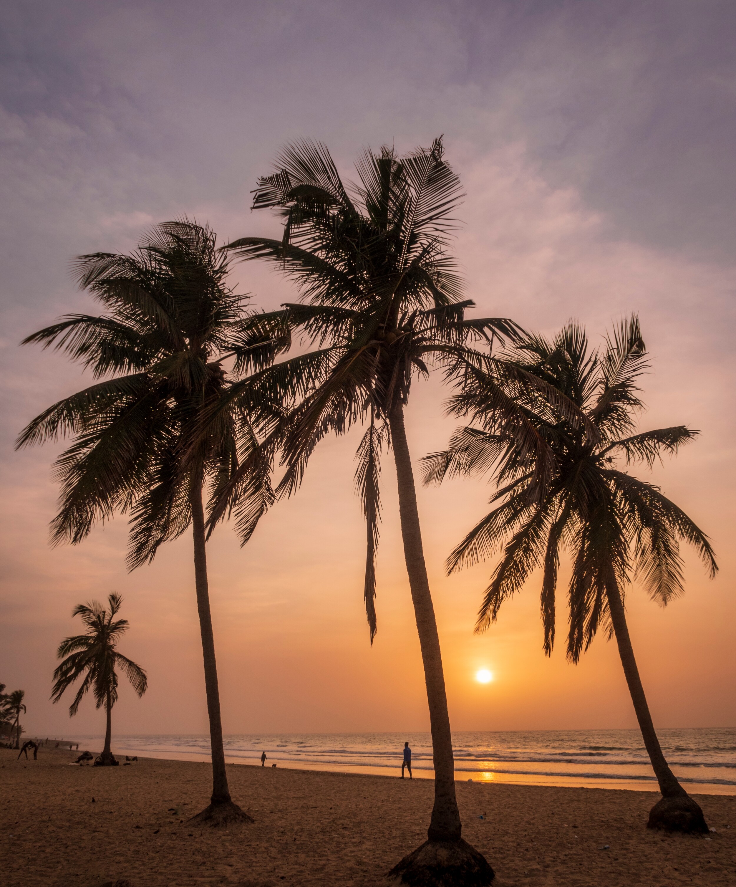 shutterstock_2145083115