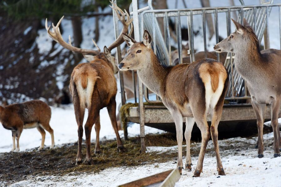 shutterstock_1620580750 (1)