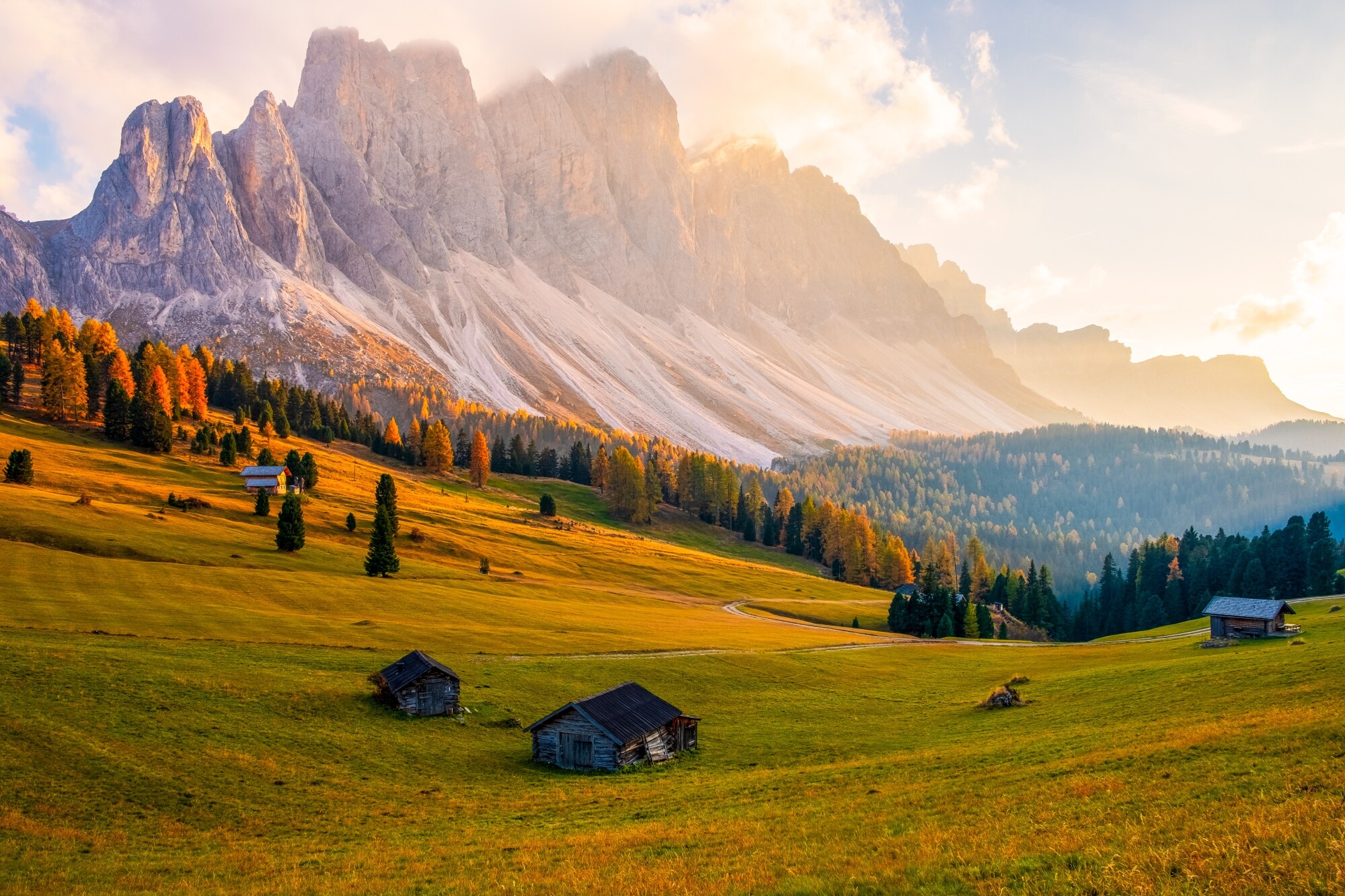 shutterstock_1506064211.jpg