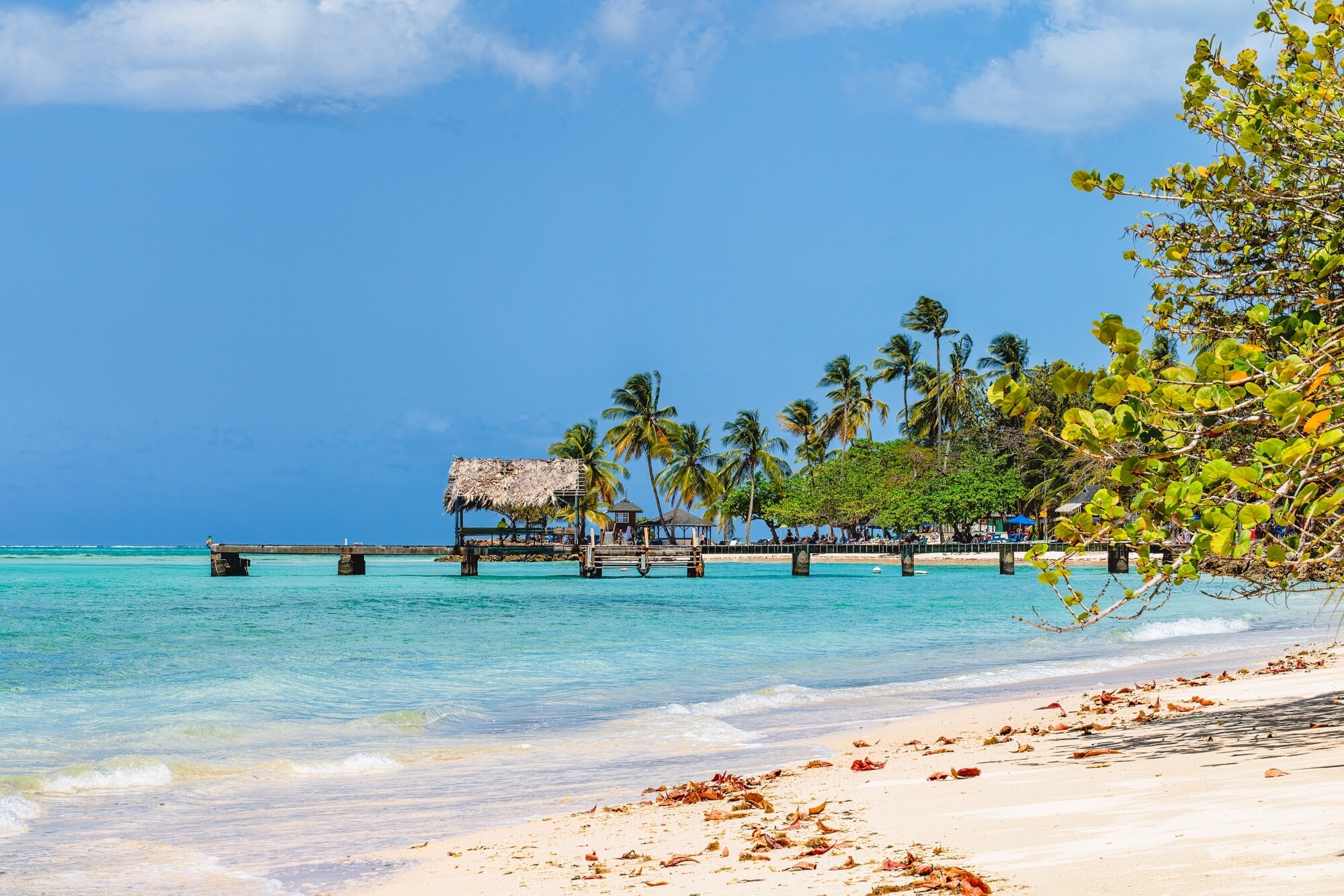 shutterstock_2261499137.jpg