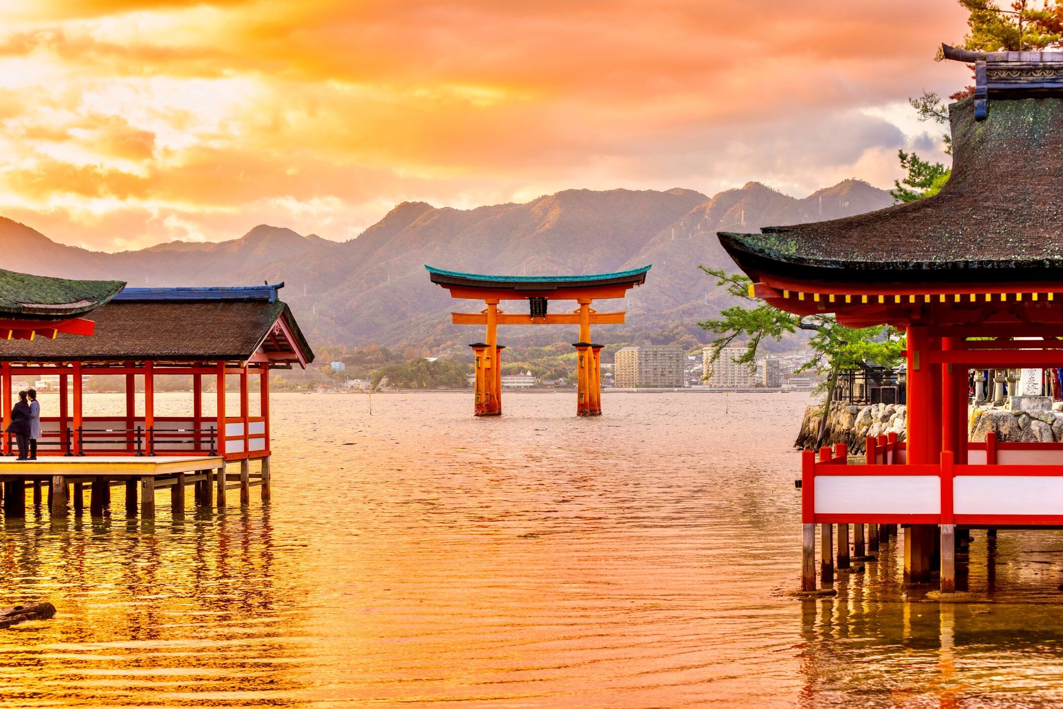 Miyajima_Torii_©dreamstime.jpg