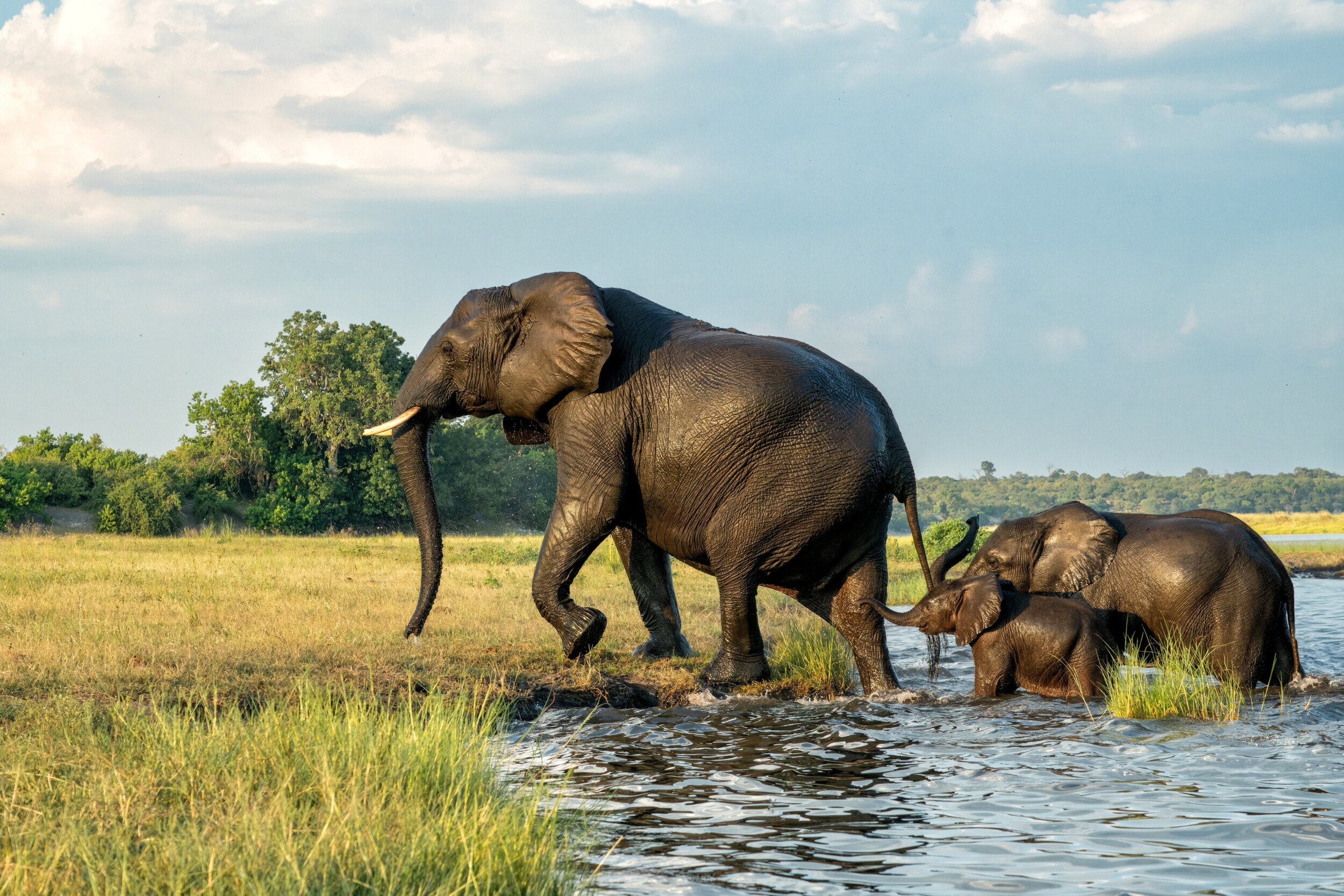 shutterstock_2452166035 (2)2