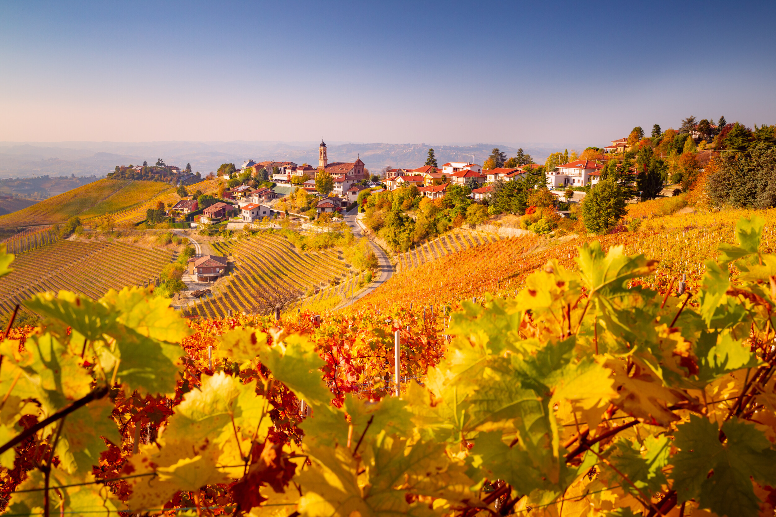 IT_Piemont_Langhe-Dorf Treiso©shutterstock_1167143293