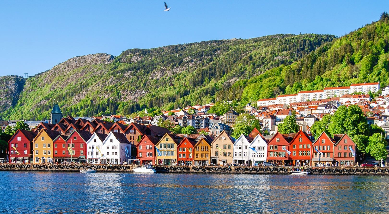Bergen.jpg