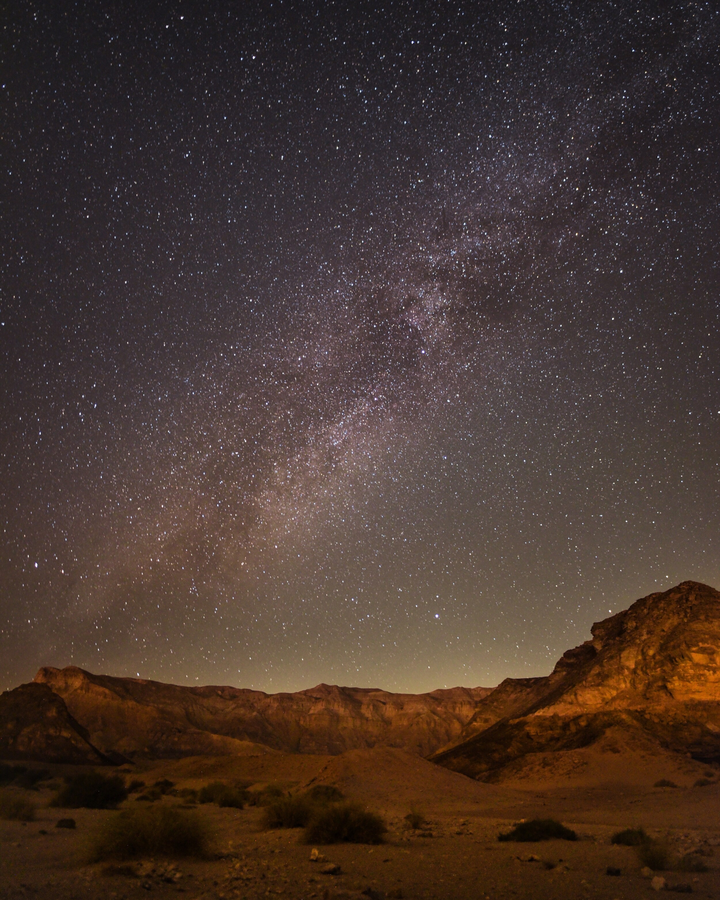 shutterstock_2276943581