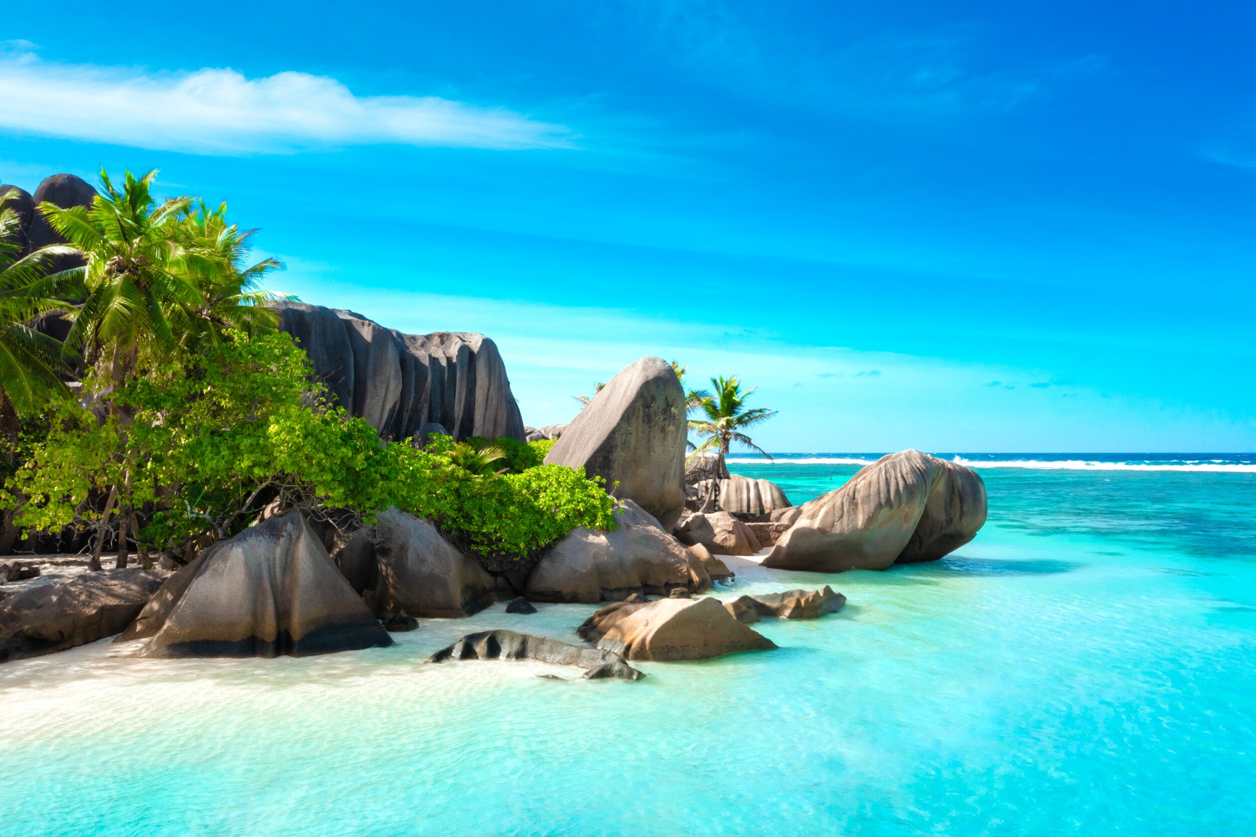 shutterstock_2202040435 (2)
