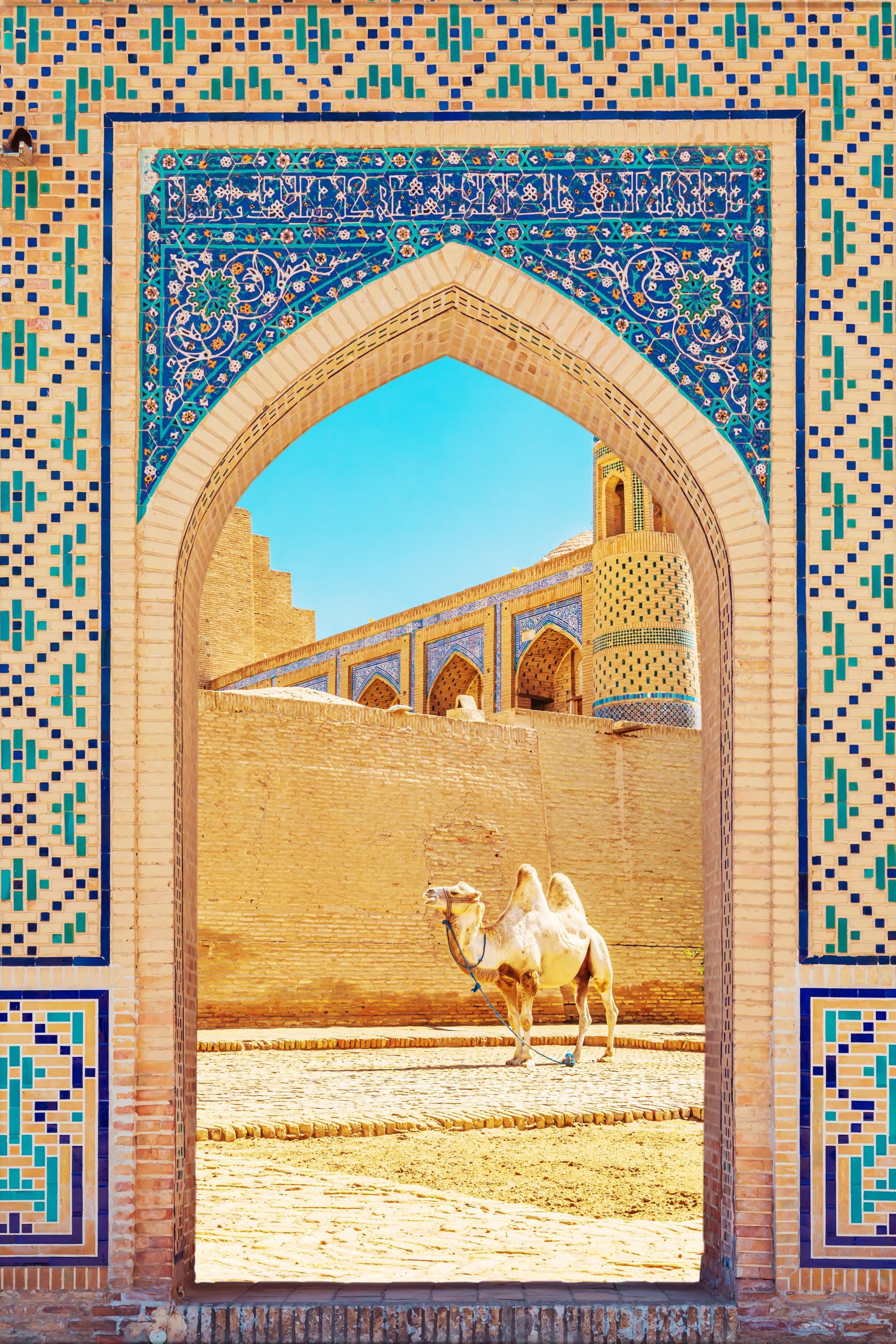 shutterstock_2515922343