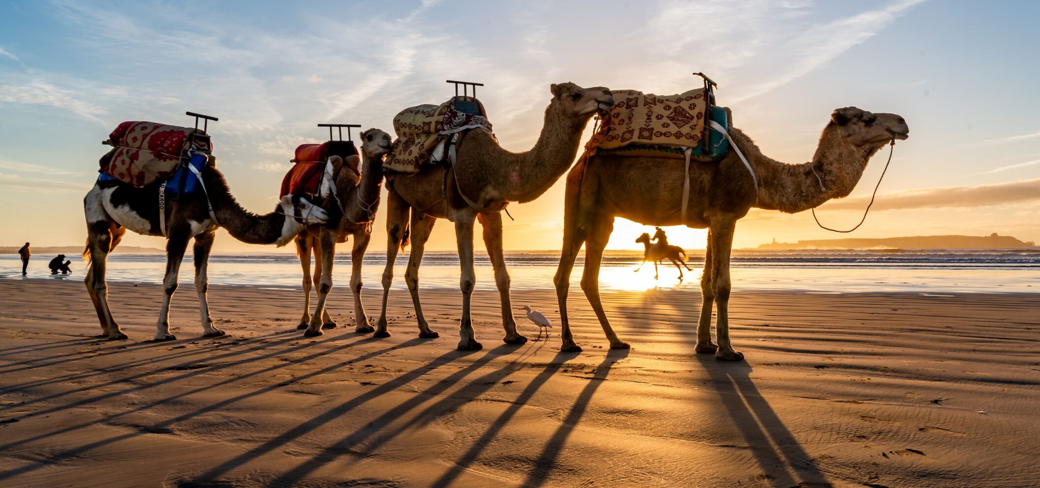 Marokko - Facetten orientalischer Lebensart - Marokko