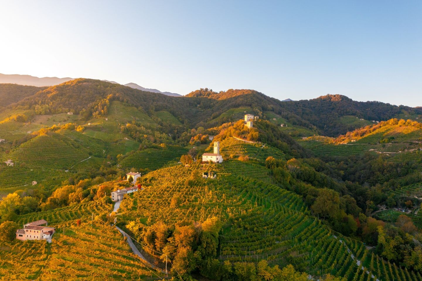 Treviso & Valdobbiadene - Proseccoh&uuml;gel und venezianische Eleganz  - Italien