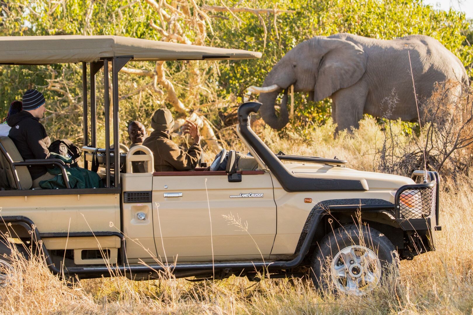 Botswana_Rra_Dinare_Game_Drive.jpg