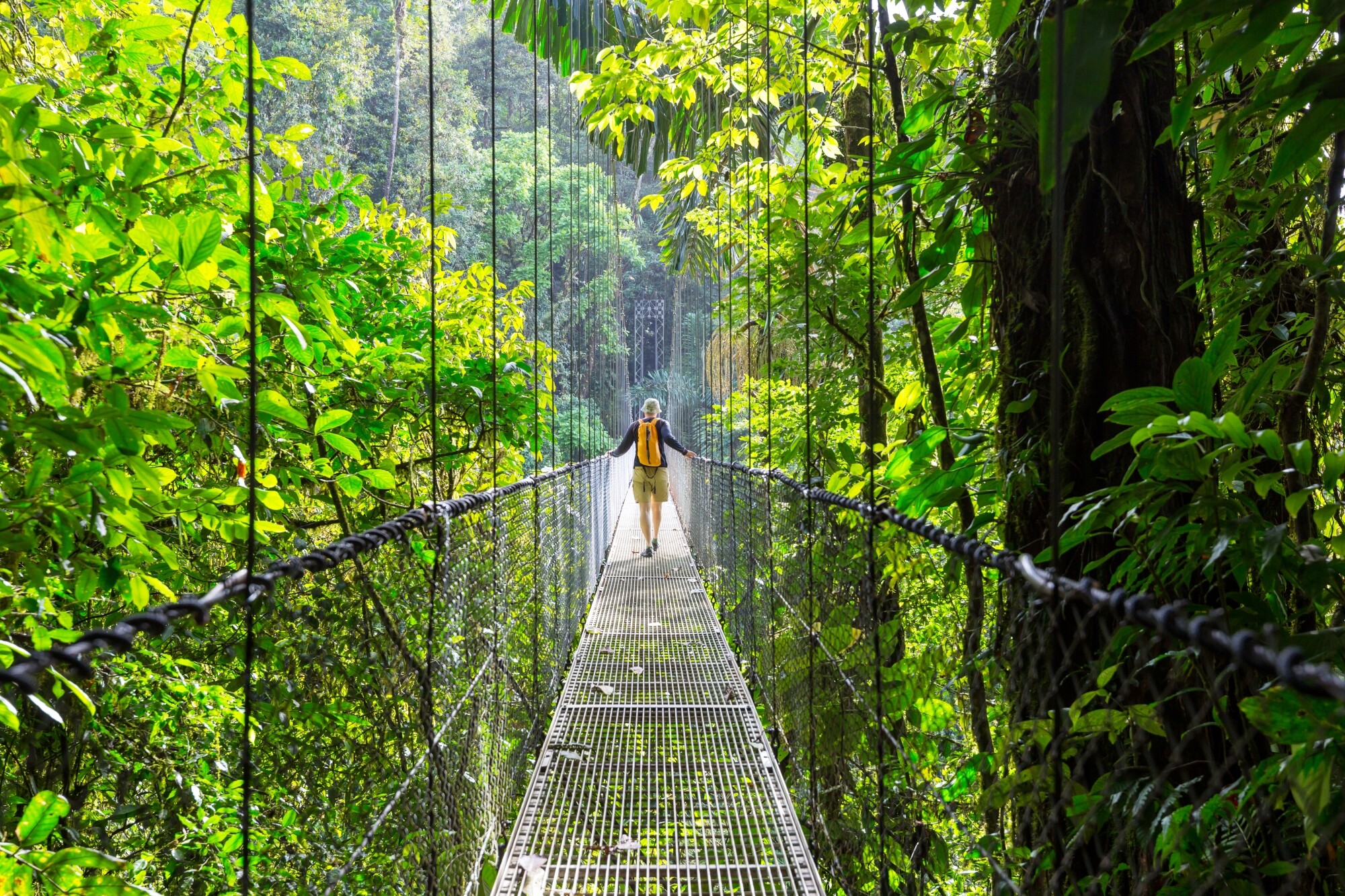 Costa_Rica_Mistico_Arenal_Hängebrücken_shutterstock_1006962364.jpg