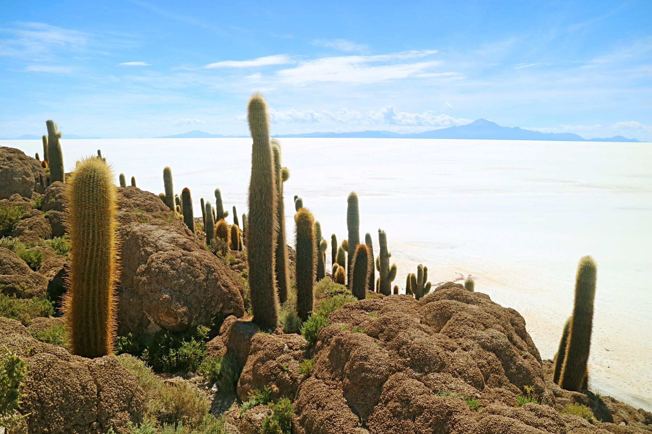 Bolivien_Uyuni_Isla_Incawasi_©shutterstock.jpg