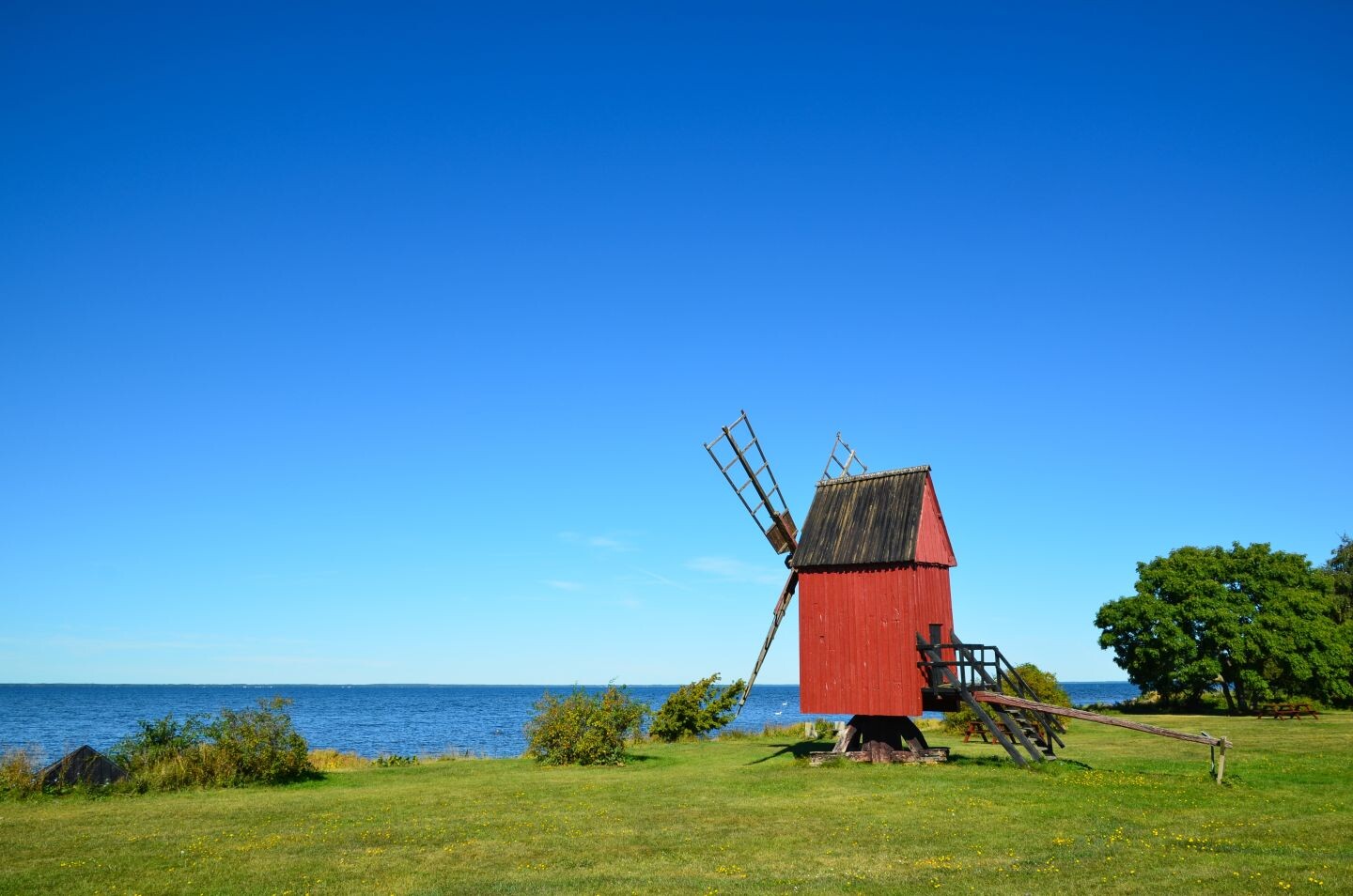 Windmühle_Öland__shutterstock_154668302.jpg