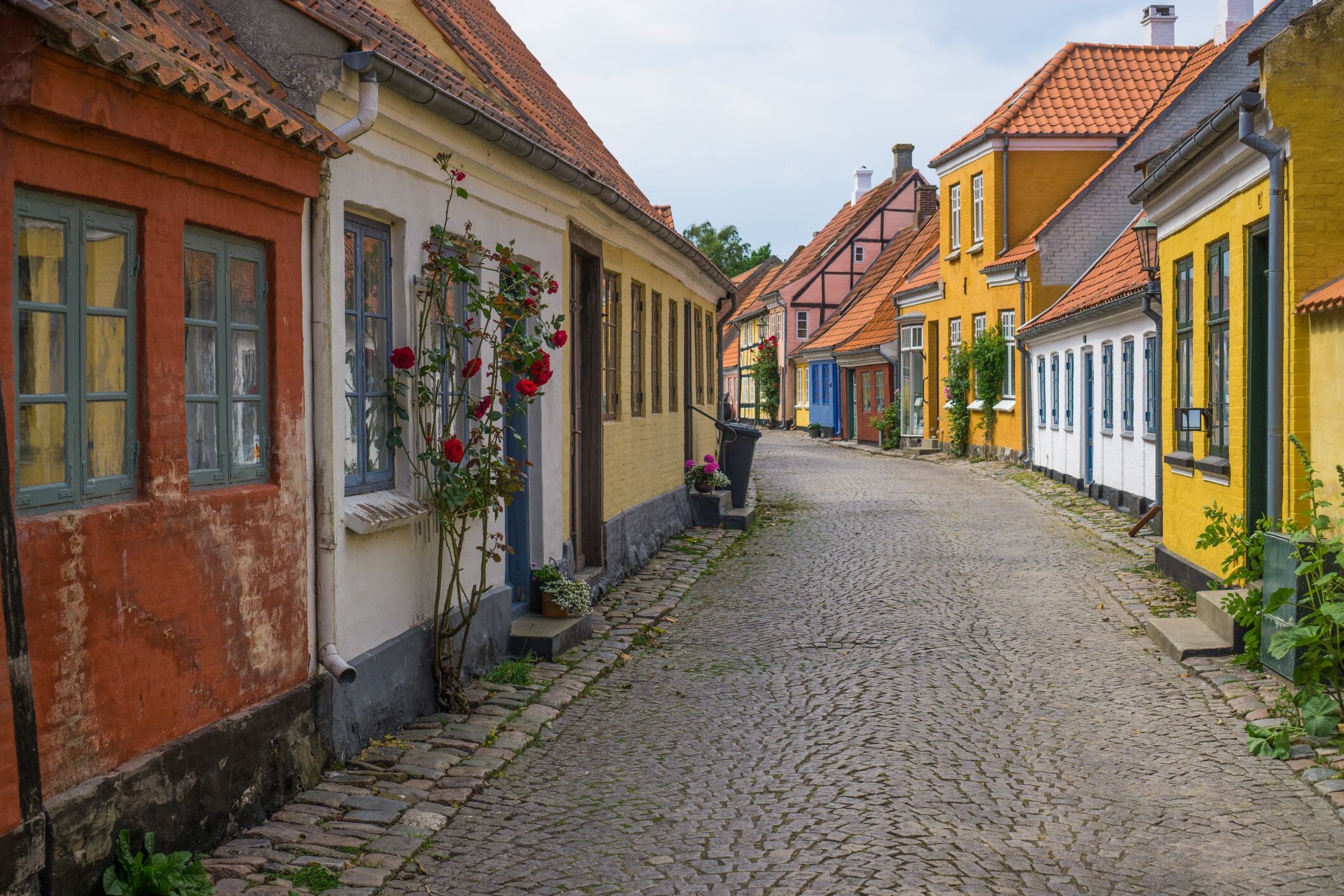 Dänemarkt_Aero_shutterstock.jpg