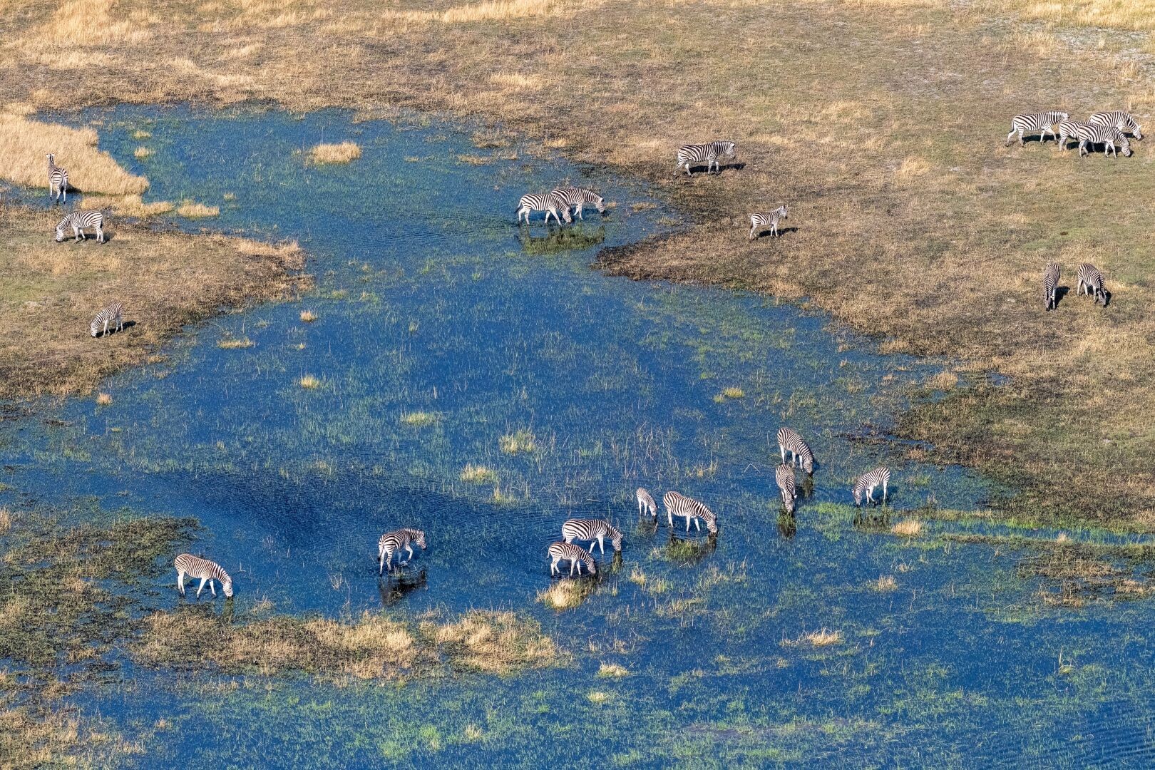 Abenteuer Botswana - Botswana