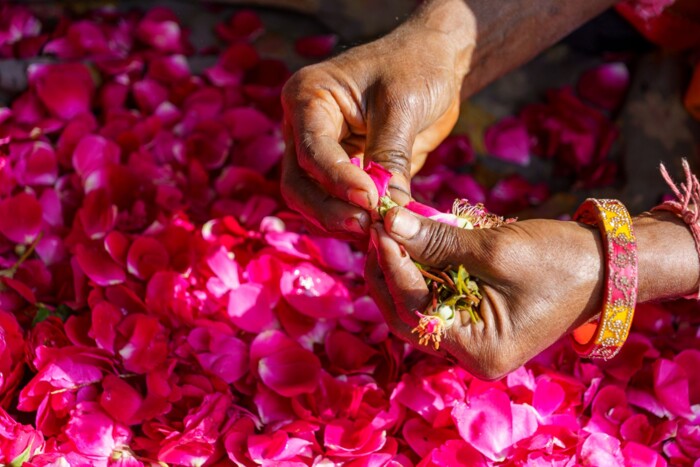 Jaipur_Blumenmarkt_Nahaufnahme_&copy;shutterstock.jpg