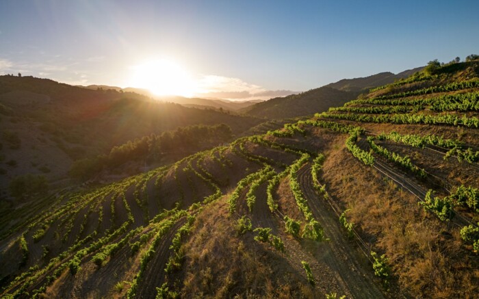 Priorat_&copy;shutterstock.jpg