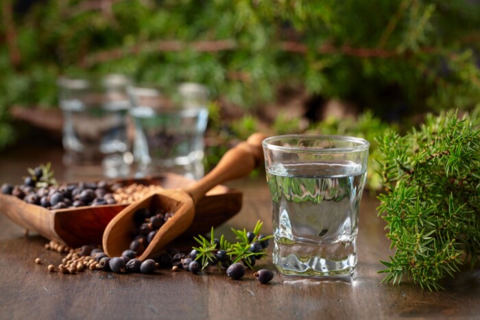 Gin_und_Wacholder_2373674811.jpg