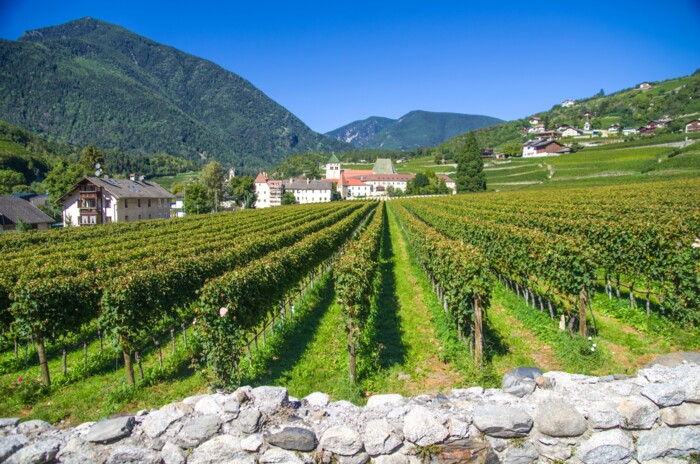 shutterstock_1740597350_-_Kopie.jpg