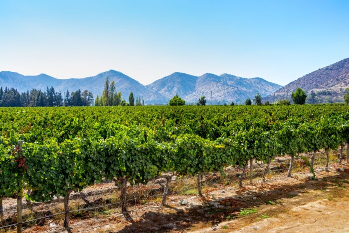 Chile_Maipo_Tal_shutterstock_1189431505.jpg