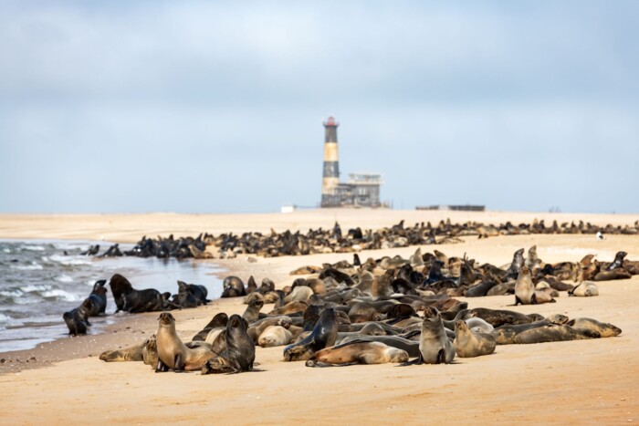 Namibia_Walvis_Bay_shutterstock_1979596100.jpg